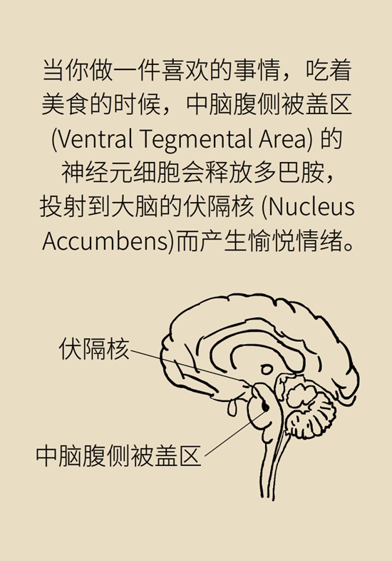 沉迷游戏、网瘾是“大脑疾病”吗？