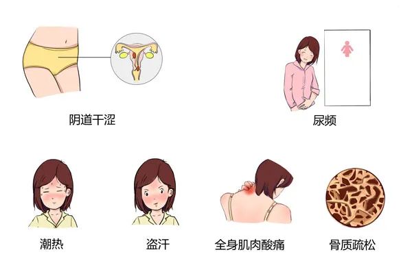 “更年期”是病吗？还是衰老的标志？