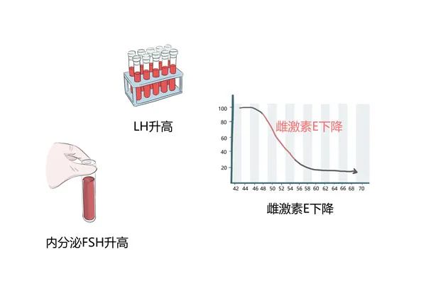 “更年期”是病吗？还是衰老的标志？