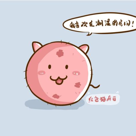 治疗灰指甲产品哪个效果好？效果比较不错的，还是选择它