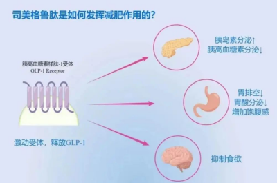 唐朝以肥为美？这是个误会！ 体重与情绪的双重管理：乌灵胶囊助力司美格鲁肽的减重之旅