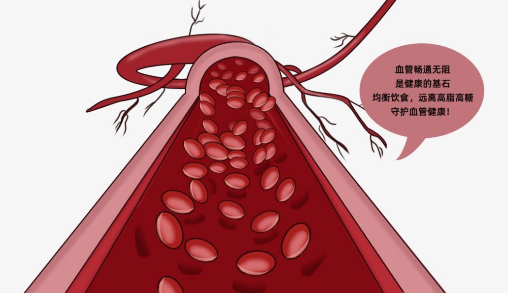 长期吃通心络有什么好处