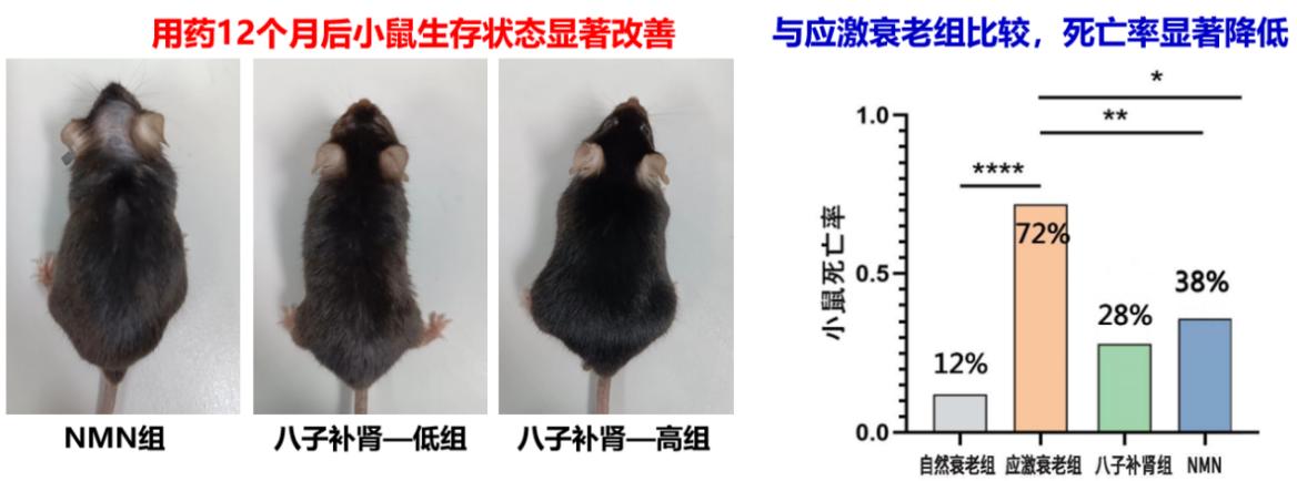 中药抗衰成果登上国际期刊，或攻克西方科研难题