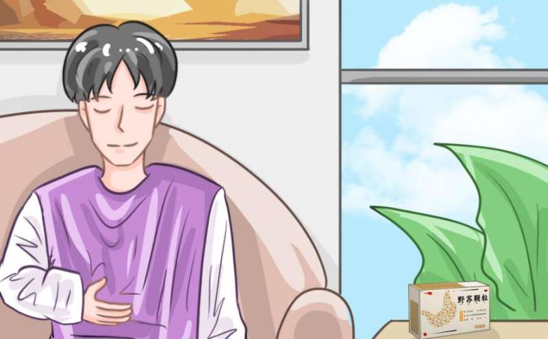舒得卫野苏颗粒治疗胃炎吗？