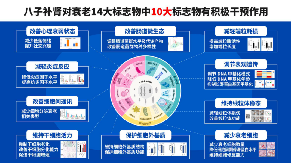 保持年轻的十大抗衰方法，科学延寿指南
