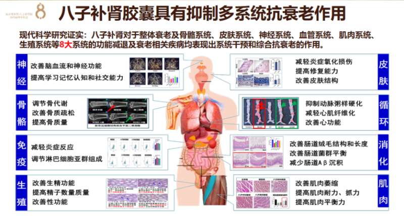 抗衰指南！十个科学延缓衰老的黄金法则