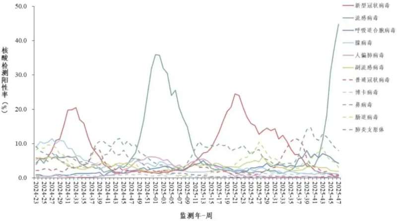 流感高峰再临，与新冠如何区分？了解抗新冠药先诺欣，科学应对不慌乱
