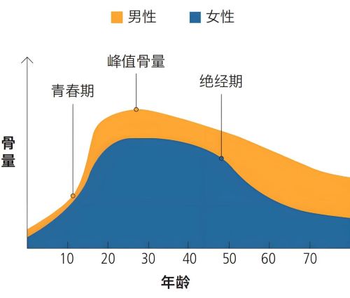 科学补钙要趁早！用励全碳酸钙D3片，为骨骼做一份终身“投资”