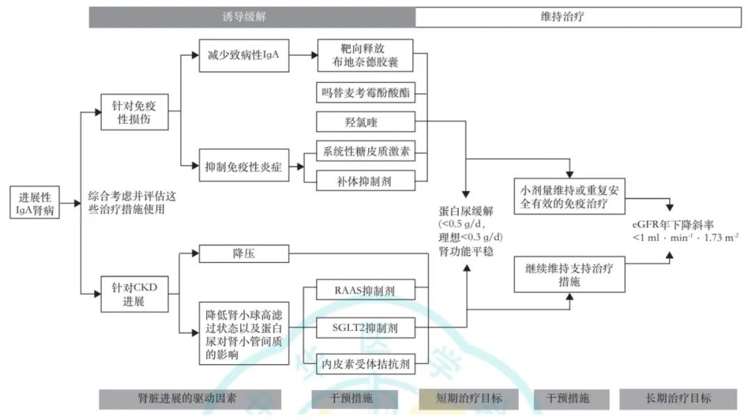 世界肾脏日 | 关注IgA肾病 尿蛋白0.5g vs 1g，肾脏寿命可能相差30年！