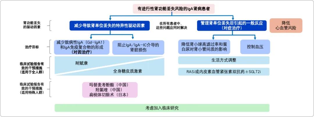 世界肾脏日 | 关注IgA肾病 尿蛋白0.5g vs 1g，肾脏寿命可能相差30年！