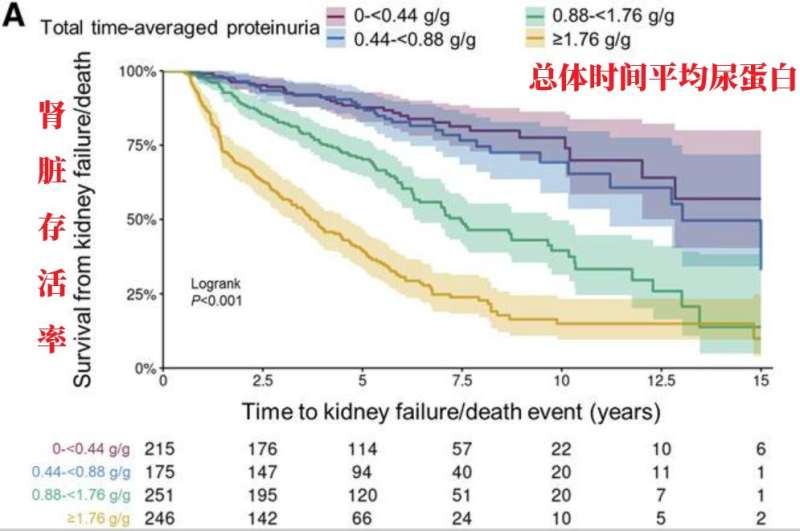 世界肾脏日 | 关注IgA肾病 尿蛋白0.5g vs 1g，肾脏寿命可能相差30年！