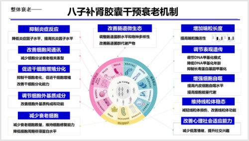 抗衰老有了“中国方案”！吴以岭院士揭秘八子补肾胶囊背后的科学