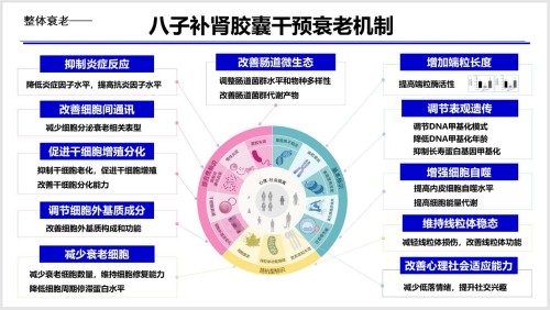 吴以岭院士分享气络学说指导抗衰老研究丰硕成果,助力健康老龄化