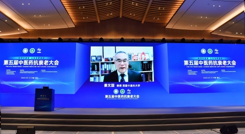 英国卡迪夫大学团队揭秘：八子补肾如何让血管内皮“重获新生”八子补肾抗衰老新证据：激活“长寿信号”，让
