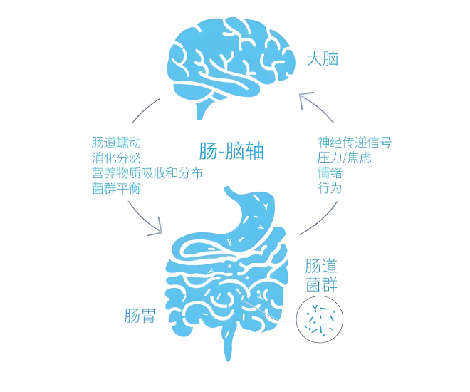 乌灵胶囊进入第91个指南共识：《坠胀诊断与治疗专家共识》