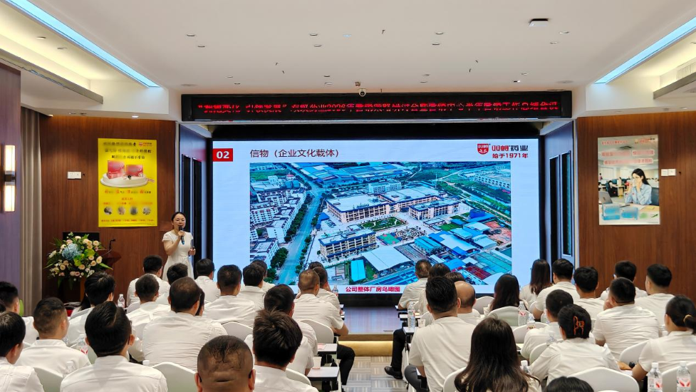 双蚁药业2026年营销策略研讨会暨营销中心半年营销工作总结会顺利召开