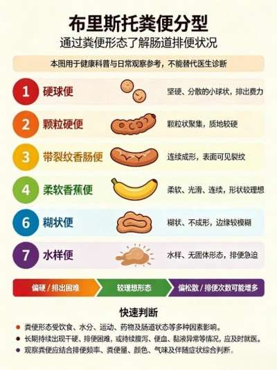 别把老年便秘当成小事!最新权威指南:通畅排便,守护长辈晚年幸福
