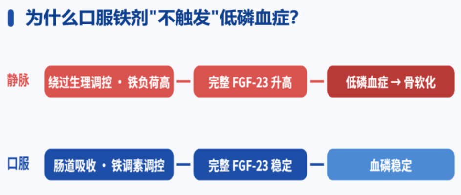 欧美两大权威组织同时发出严重警告，贫血补铁之路该注意什么？