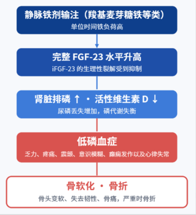 欧美两大权威组织同时发出严重警告，贫血补铁之路该注意什么？