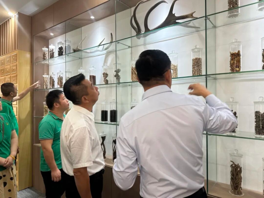 热烈欢迎厦门银城医药莅临我司溯源考察
